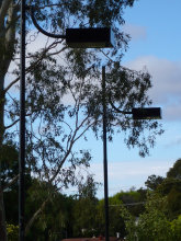 dlc012015.jpg